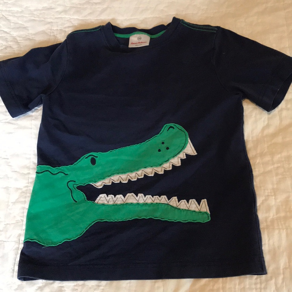 120 Hanna Andersson Short Sleeve Shirt